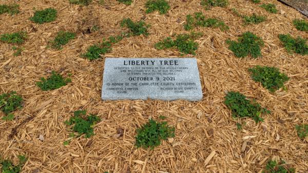 Liberty Tree Plaque